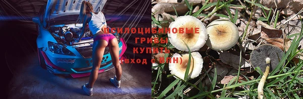 ECSTASY Алзамай